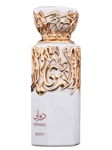Diwani Beirut French Avenue for women and men - Image 2